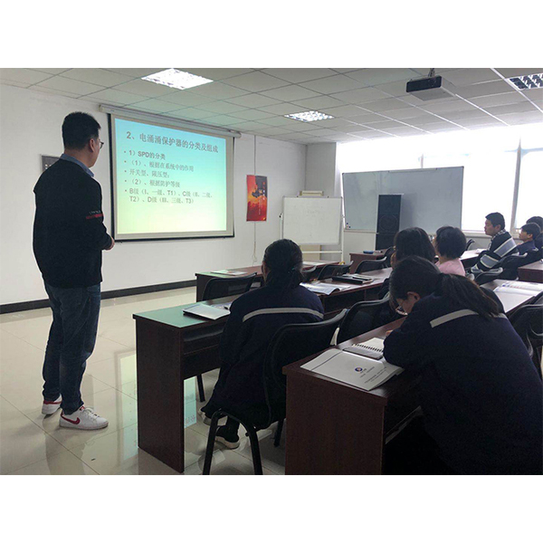 電子網(wǎng)絡(luò)監(jiān)控防雷 器