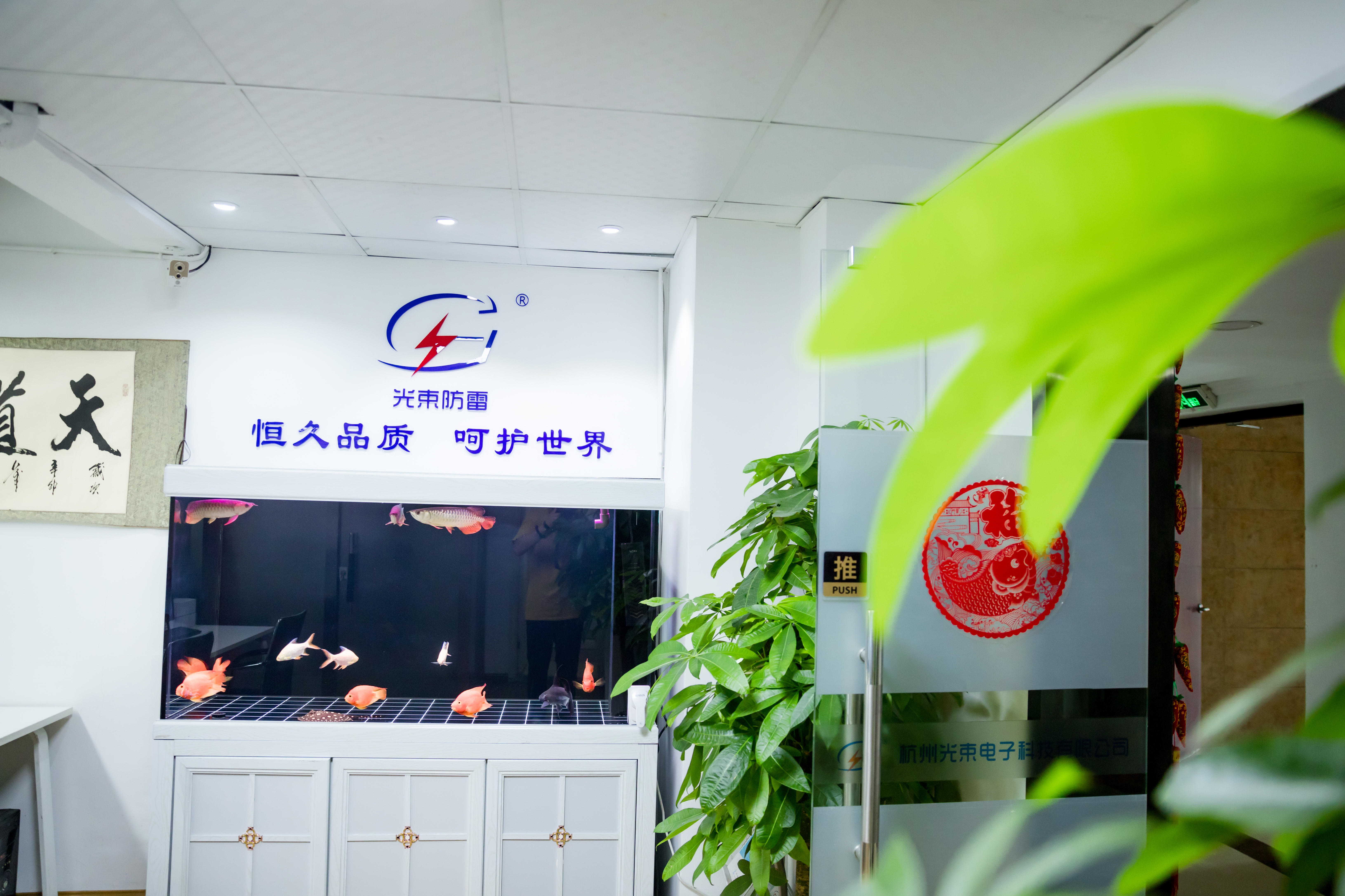 浪涌保護(hù)器包驗(yàn)收通過廠家